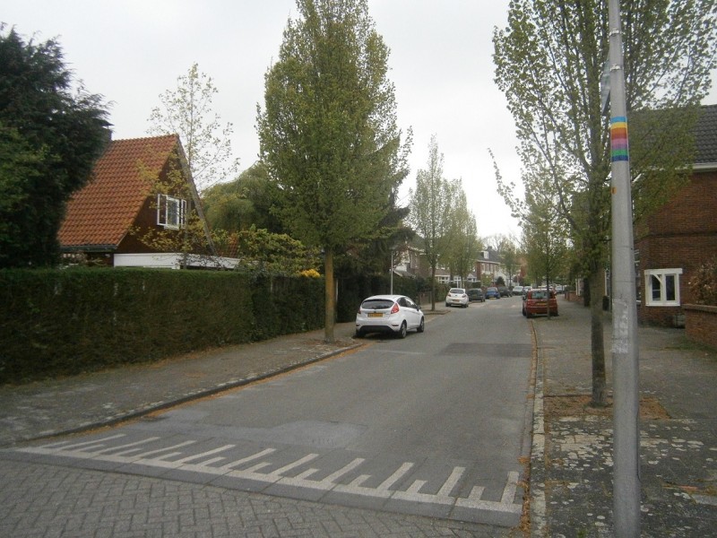 Groen van Prinstererlaan.JPG