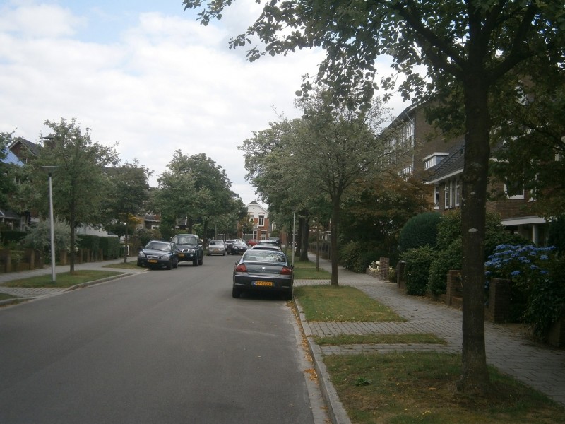 Mr. Troelstrastraat richting Walhofstraat.JPG