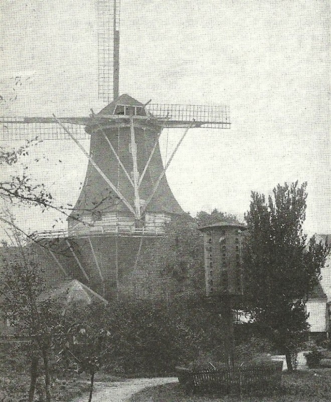 Hoge Es waar nu ongeveer de Kneedweg op de Espoortstraat uitkomt. Oliemolen of Pelmolen gesticht door Jan Blijdenstein in 1776.jpg