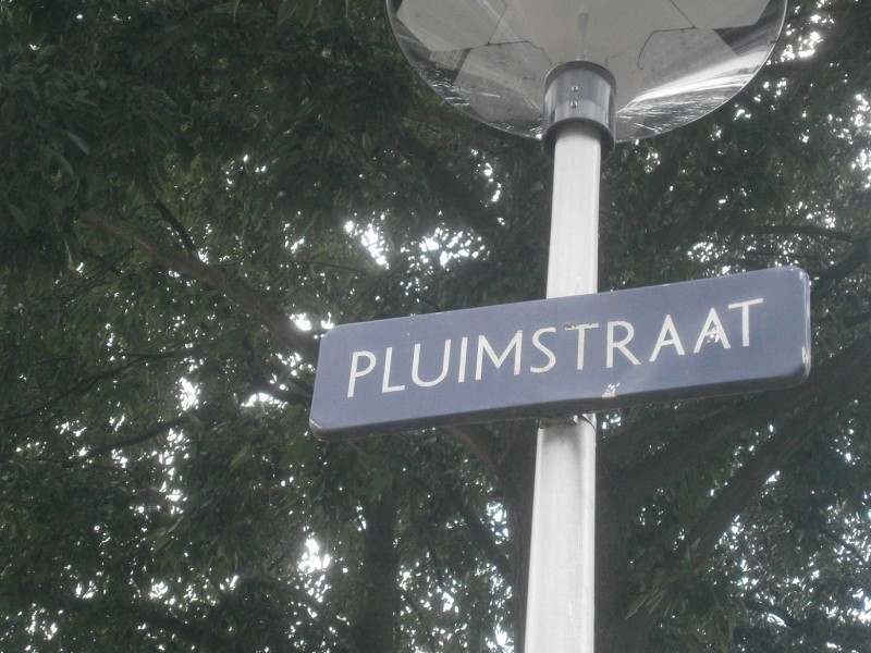 Pluimstraat straatnaambord.JPG