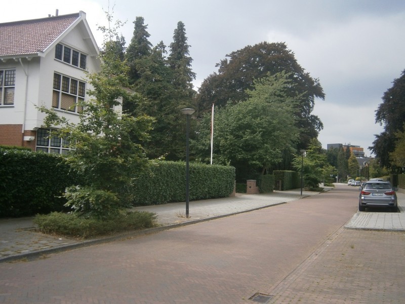 Marthalaan richting Oostveenweg.JPG