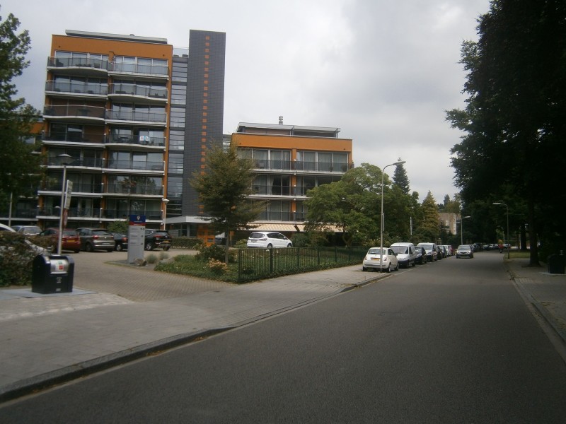 Marthalaan richting Oliemolensingel.JPG