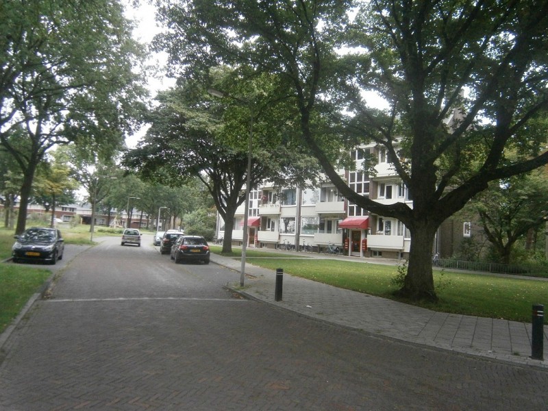 Weegschaalstraat (3).JPG