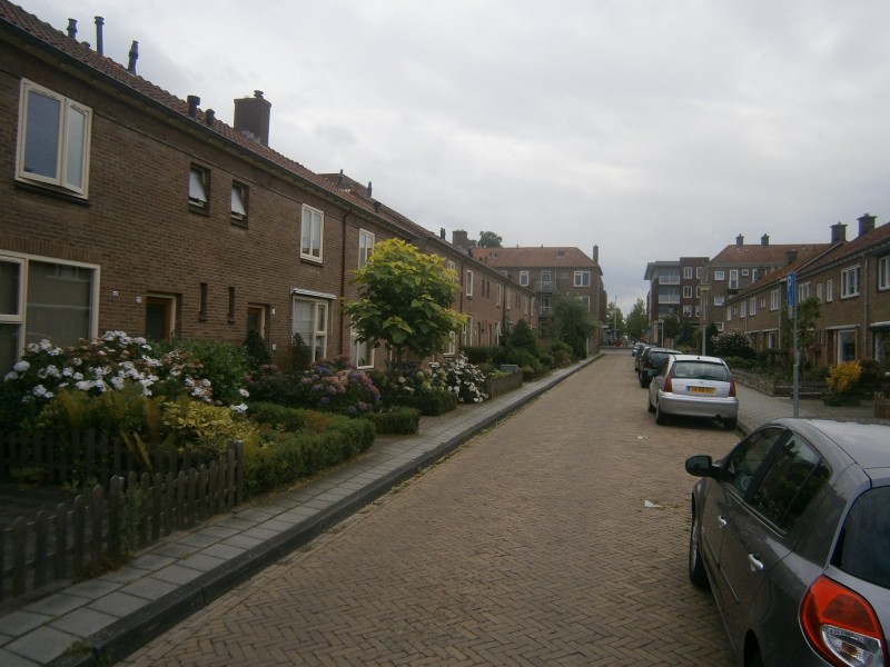 Zevensterstraat.JPG