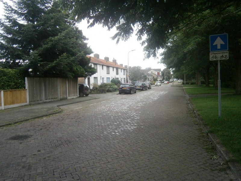 Bruggenmorsweg.JPG