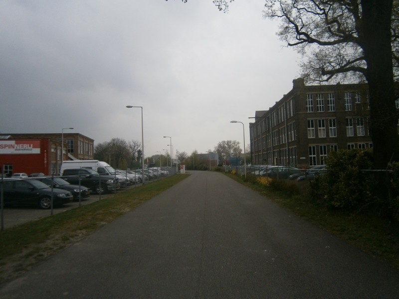 Rigtersbleek-Zandvoort vanaf Goolkatenweg.JPG