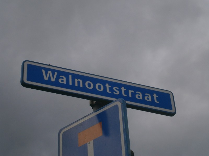 Walnootstraat straatnaambord.JPG