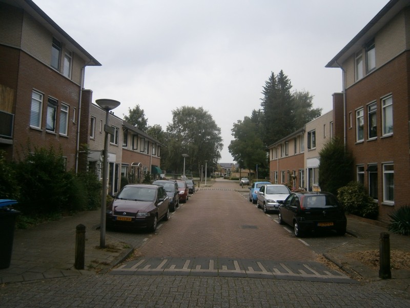 Franklinstraat vanaf Oostburgweg.JPG