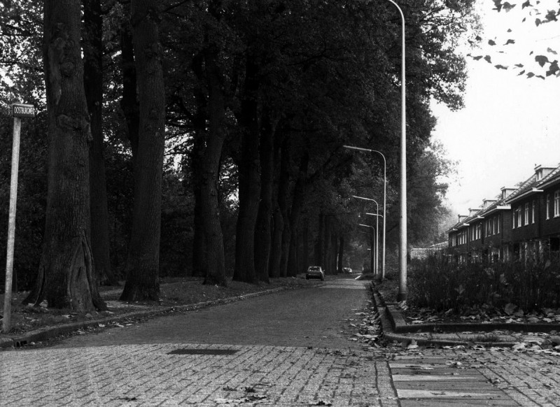Oostburgweg Dubbele woningen met het fietspad tussen de bomen met links het spoor naar Gronau..jpg