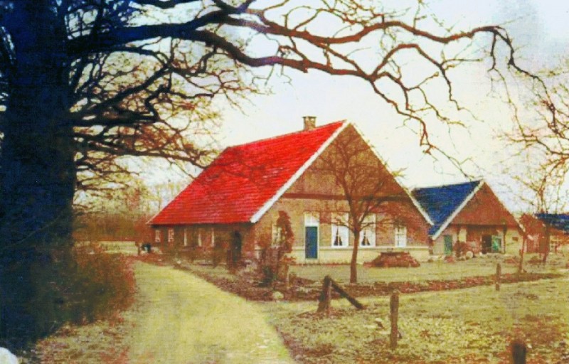 Tegelerweg Boerderij Omstreeks 1960 is de familie G. Pauw verhuisd van de Tegelerweg 99, waar nu het Jacobuscollege staat, naar de Haaksbergerstraat..jpg