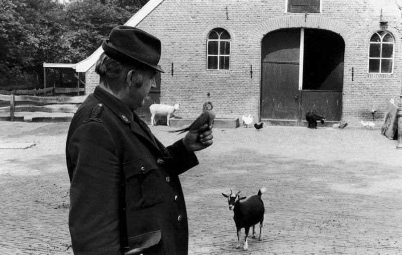 Lorentzlaan Boerderij in Het Wooldrikspark. Fungeert als kinderboerderij. Het oude koetshuis doet nu dienst als theehuis..jpg