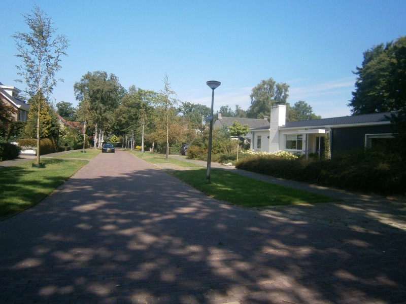 van 't Hofflaan (2).JPG