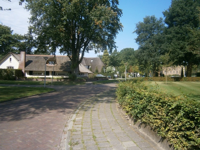 van der Waalslaan.JPG
