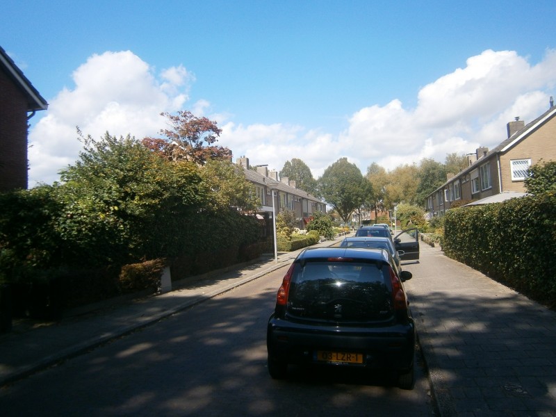 Reaumurstraat vanaf Lammertsweg.JPG