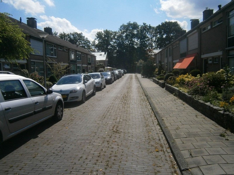 Reaumurstraat vanaf Fahrenheitstraat.JPG