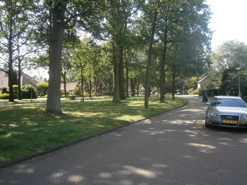 Hofstedeweg vanaf Van der Waalslaan .JPG