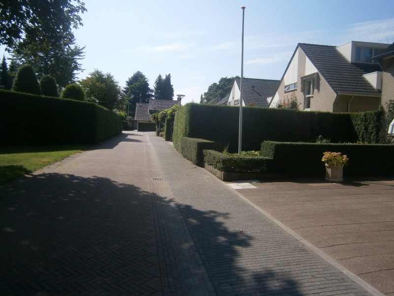 Rechterlaan (2).JPG