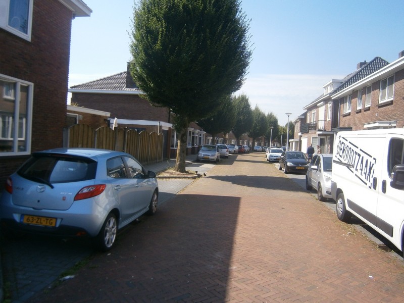 Pieter Bothstraat.JPG