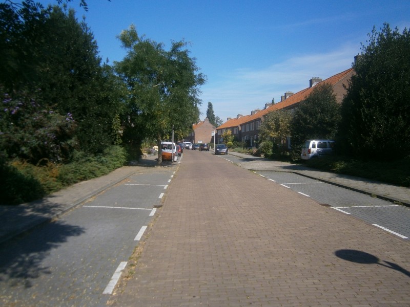 Nieuw Guineastraat.JPG