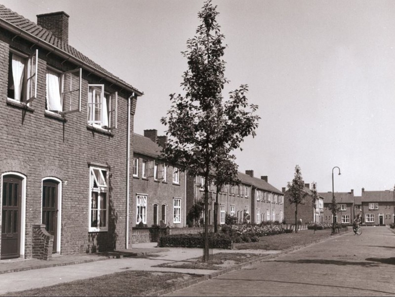 Benkoelenstraat 1955.jpg