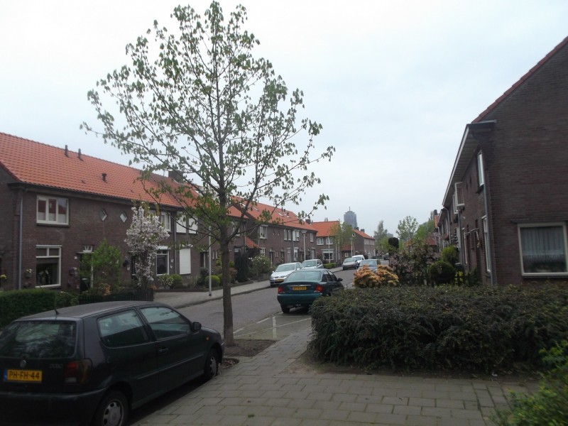 Benkoelenstraat.JPG
