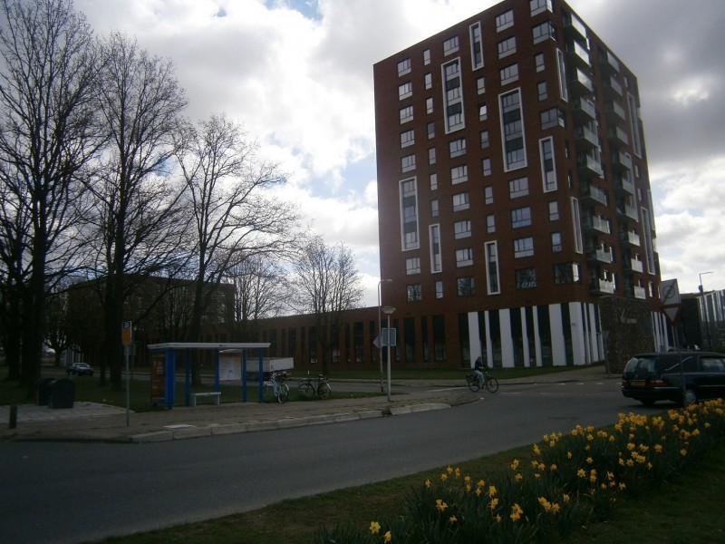 J.J. van Deinselaan hoek Hendrik Smeltweg rechts Gezondheidshoes.JPG