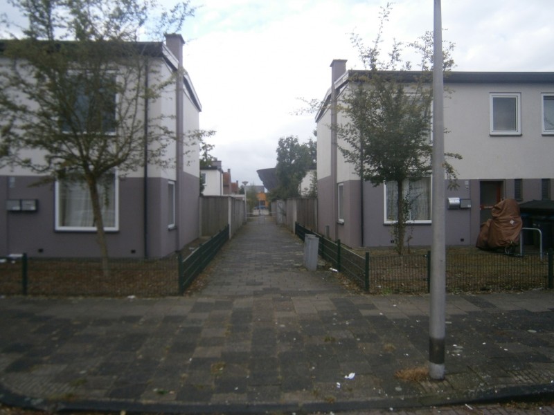 Diekmanspad vanaf Schultenhofstraat richting Ruischenborgstraat.JPG