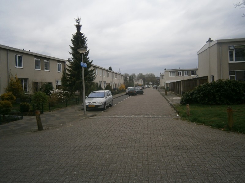Mr. Henri Viottastraat vanaf Diekmanstraat.JPG