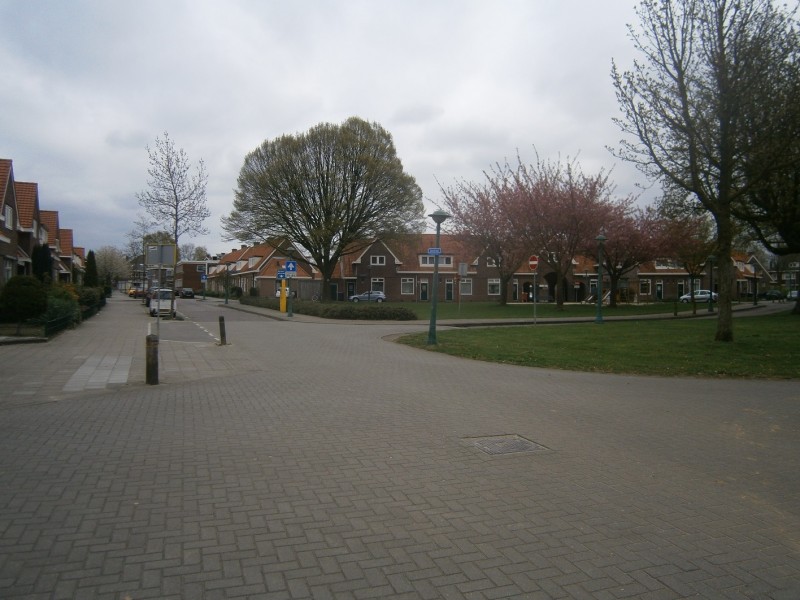 Javastraat hoek Buitenzorgplein.JPG