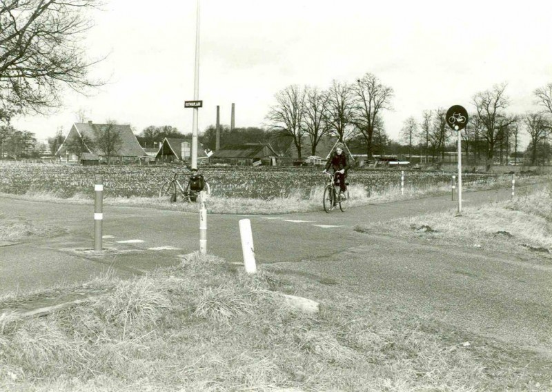 Kotmanlaan en de boerderijen aan de Lippinkhofsweg.jpg