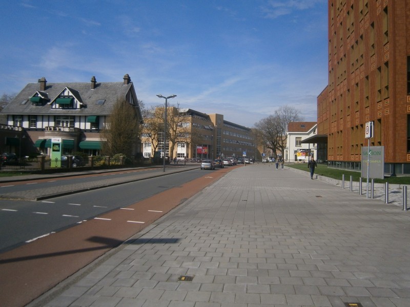 De Ruyterlaan vanaf Van Galenstraat.JPG