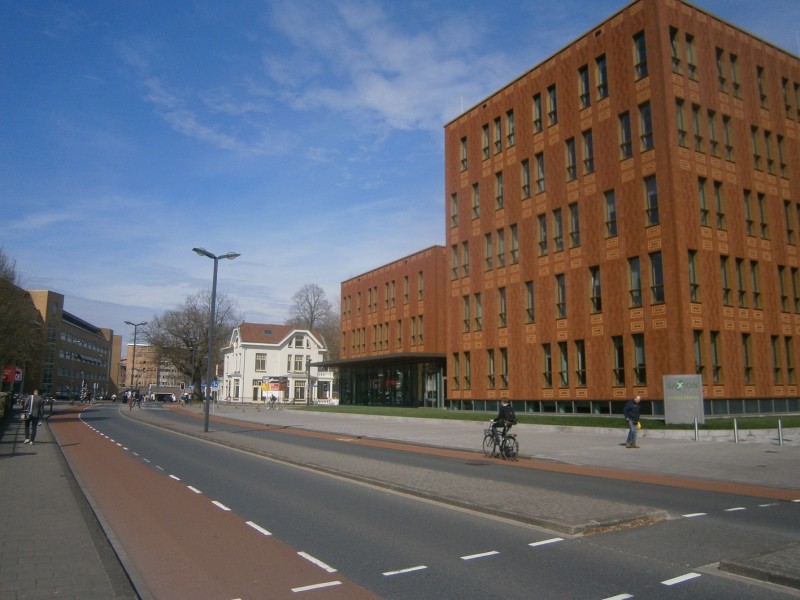 De Ruyterlaan vanaf Ariensplein.JPG