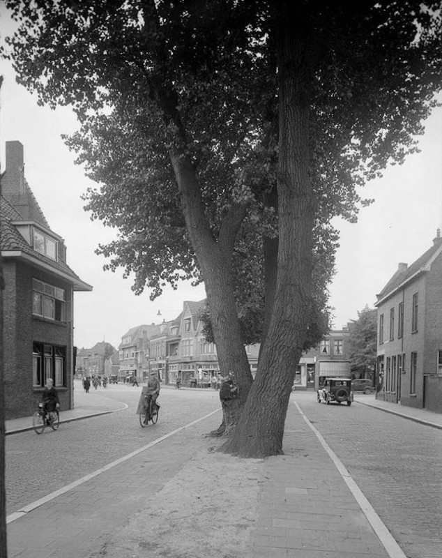 Ripperdastraat middenberm.jpg