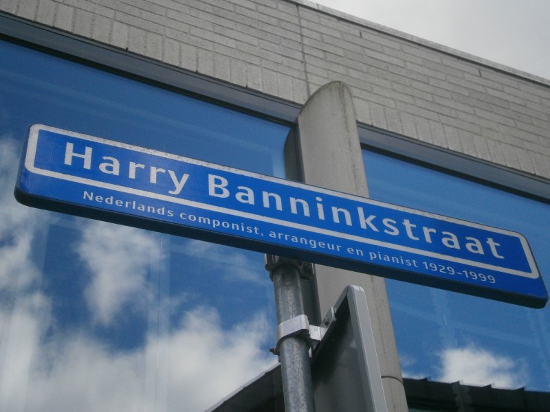 Harry Banninkstraat straatnaambord.JPG