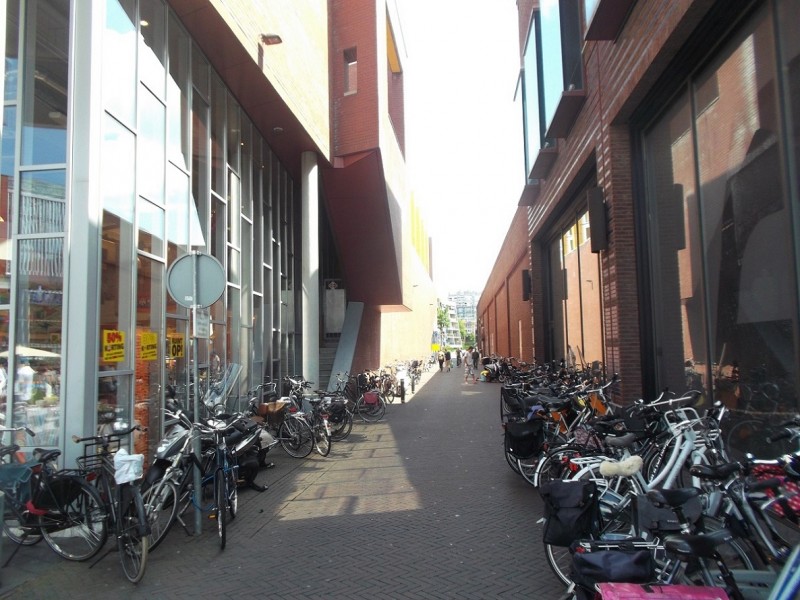 Kalandergang steegje naar Oldenzaalsestraat (vroeger Brinkstrtaat) op 12-7-2014 (2).JPG