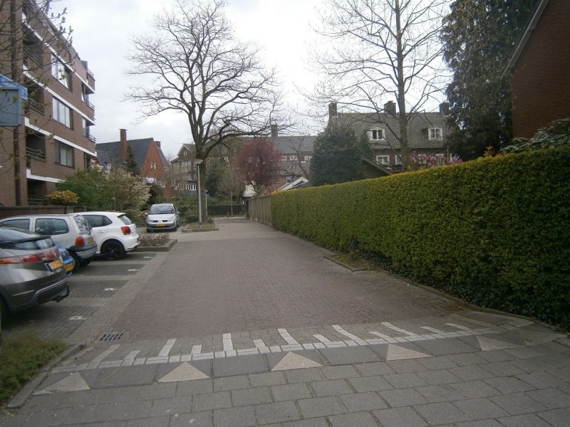 J.W. Racerstraat vanaf Joan Coststraat.JPG