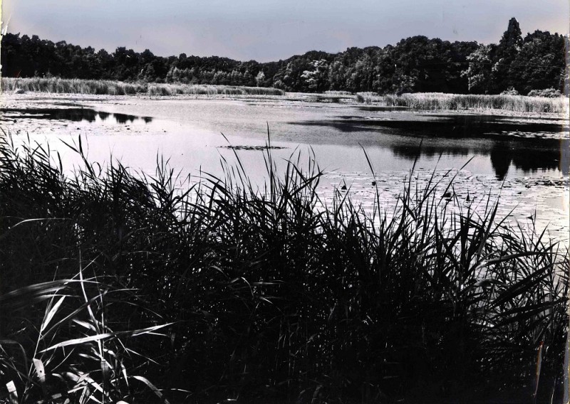 Lonnekermeerweg 1980 Zicht op het Lonnekermeer..jpg