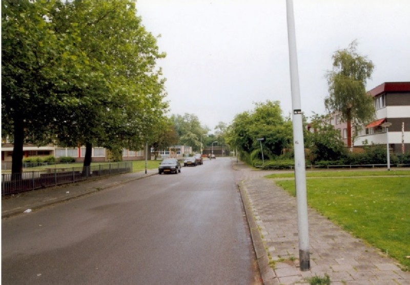 Het Riet Links scholen en rechts de Tubbergenbrink richting Het Lang.jpg