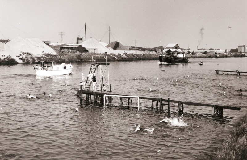 Haven 1959 1960 Zwembad Havenzicht in het havengebied van het Twentekanaal met duikplatform en zwemmend publiek. Op de achtergrond zijn bedrijven aan de Lonnekerbrugstraat zichtbaar.jpg