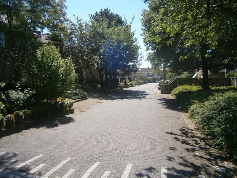 Rhaanbrink vanaf Broekheurnerrondweg.JPG