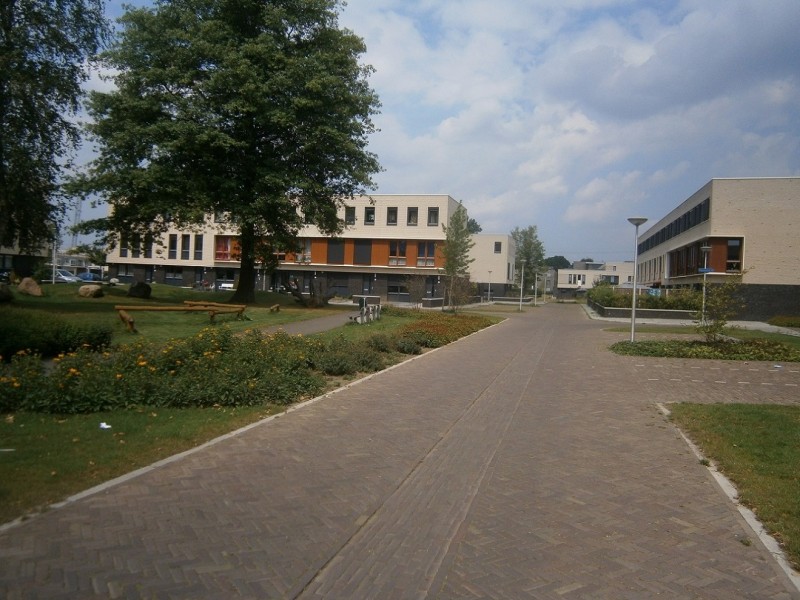 Pollenbrink.JPG