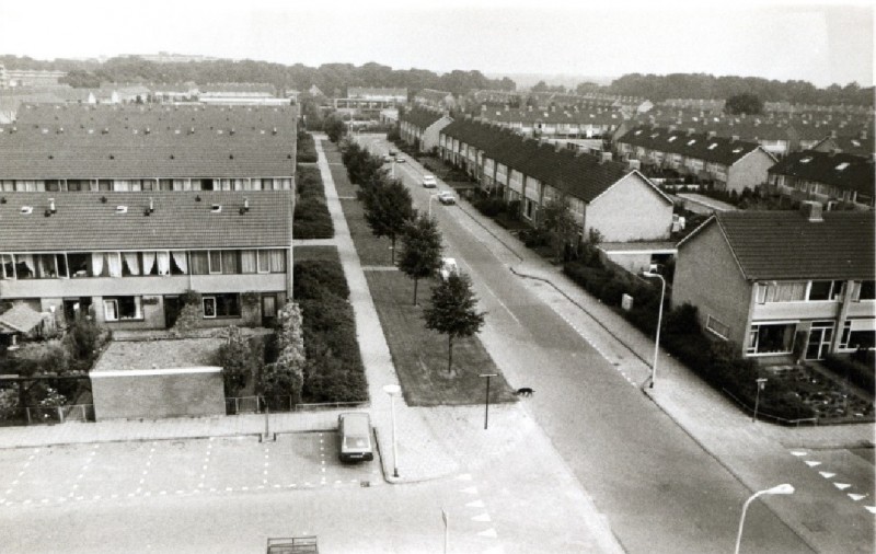 Het Oosterveld In oostelijke richting met zicht op woningen 1980.jpg