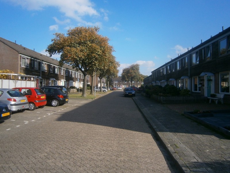 Markveldebrink (2).JPG