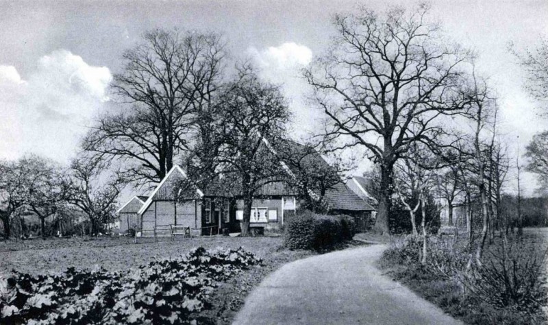 Lambertus Buddestraat 95 later Otto van Taverenstraat 92 en nu 112 boerderij Martenboer.jpg