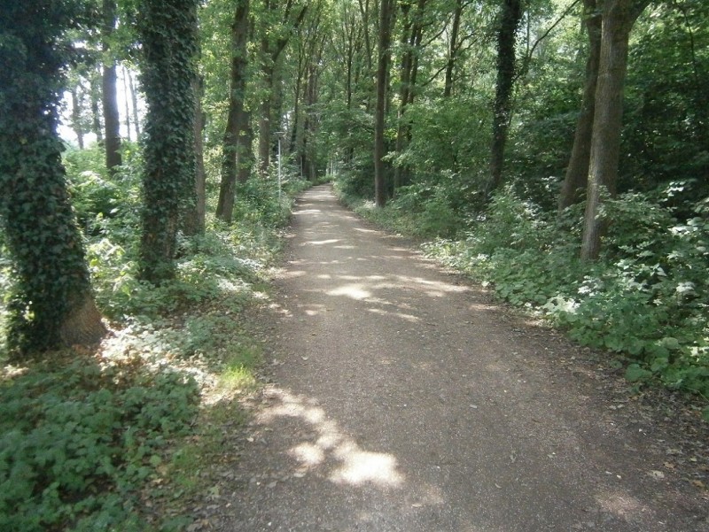 Rondemaatweg (2).JPG