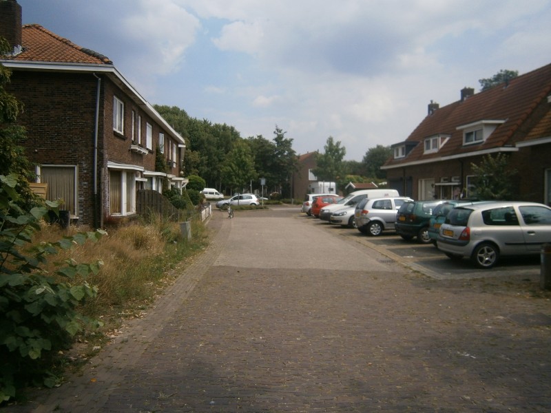 Ribesstraat (2).JPG