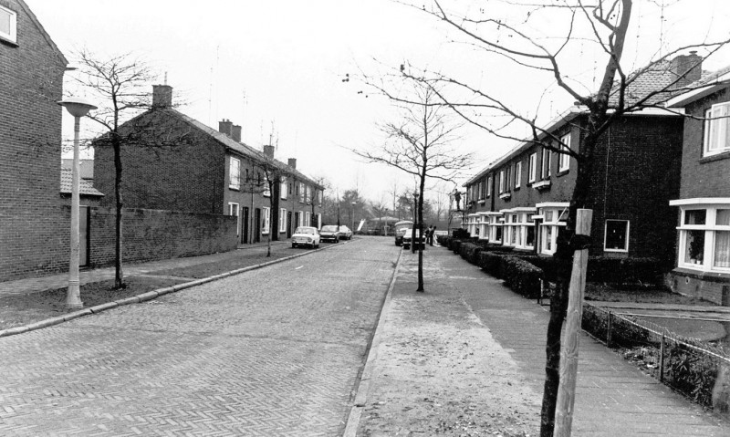 Jasmijnstraat richting de Taxisstraat met links de Duplexwoningen.jpg