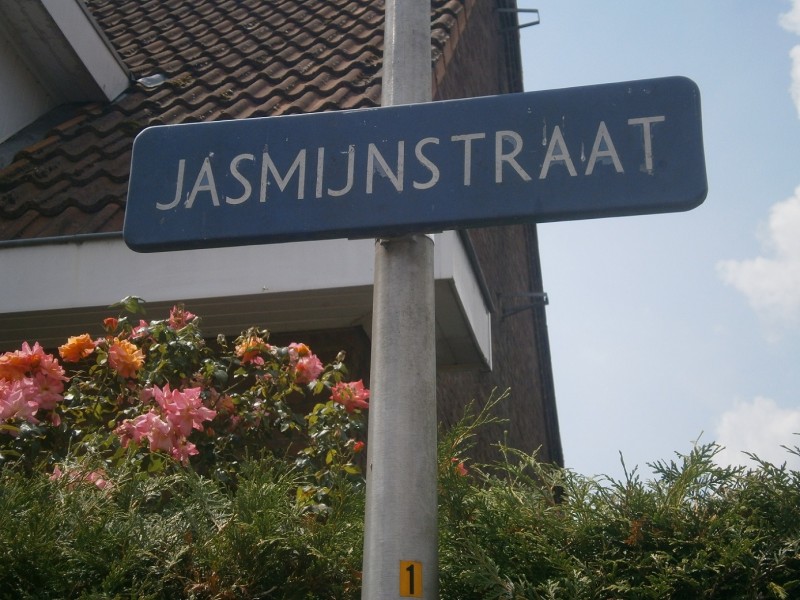 Jasmijnstraat straatnaambord.JPG