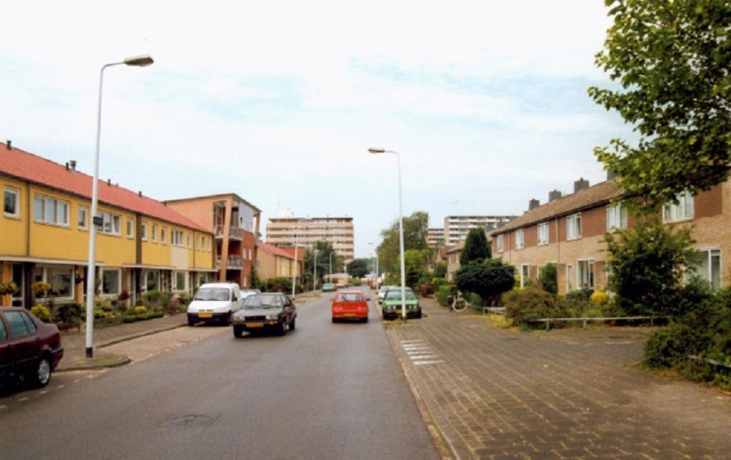 Hazendijk met op de achtergrond het bejaardencentrum De Posten.jpg