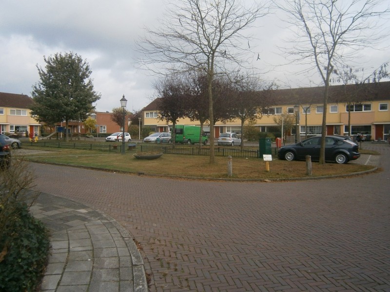 Stepelobrink (2).JPG